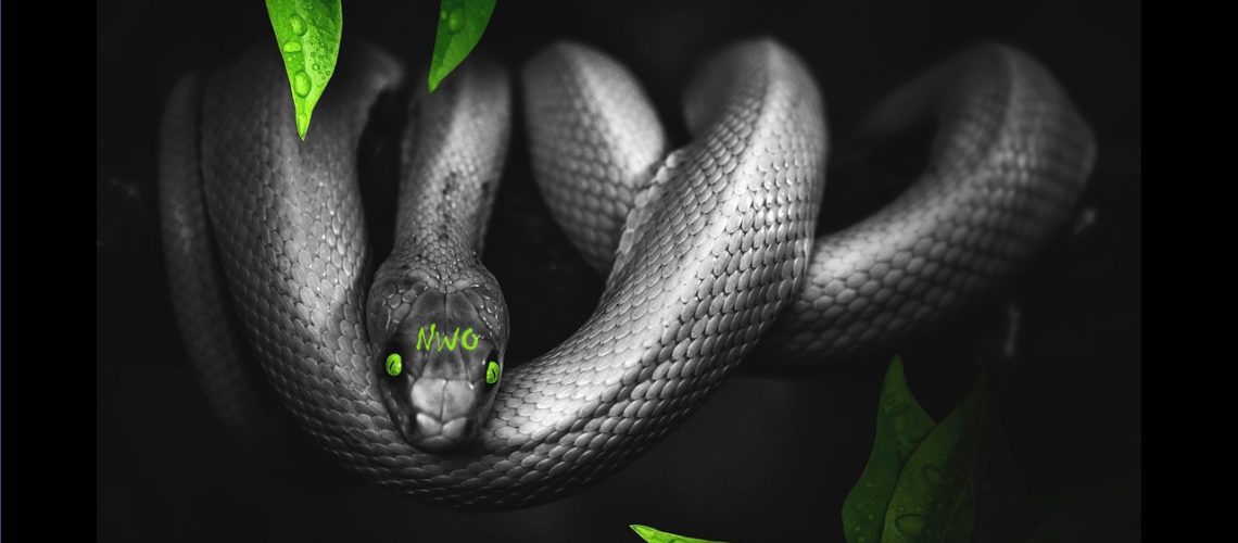 valerie bugault réforme des institutions groupement d'intérêt subsidiarité mandat impératif valérie bugault